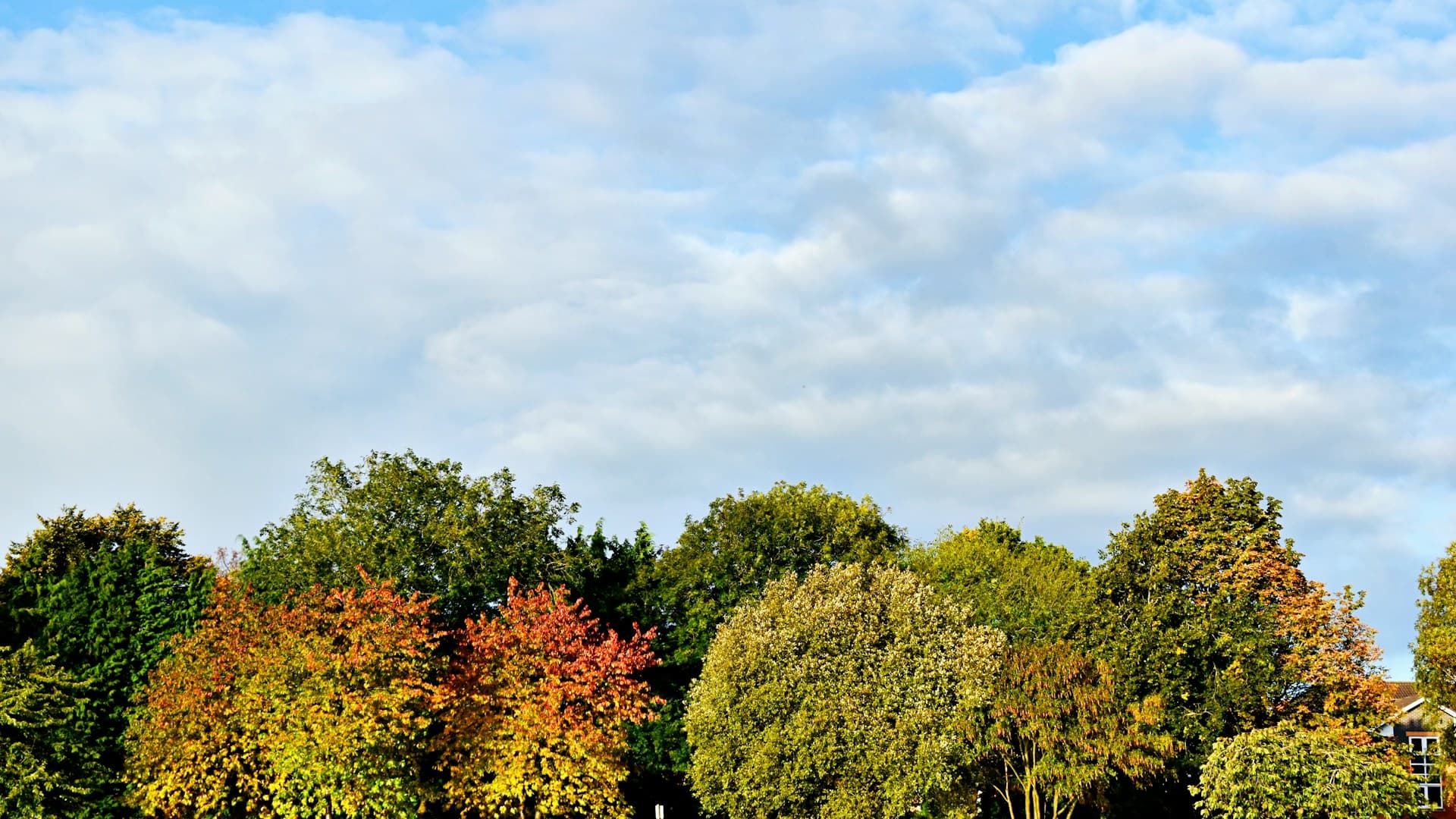 Featured - Chorlton, Manchester