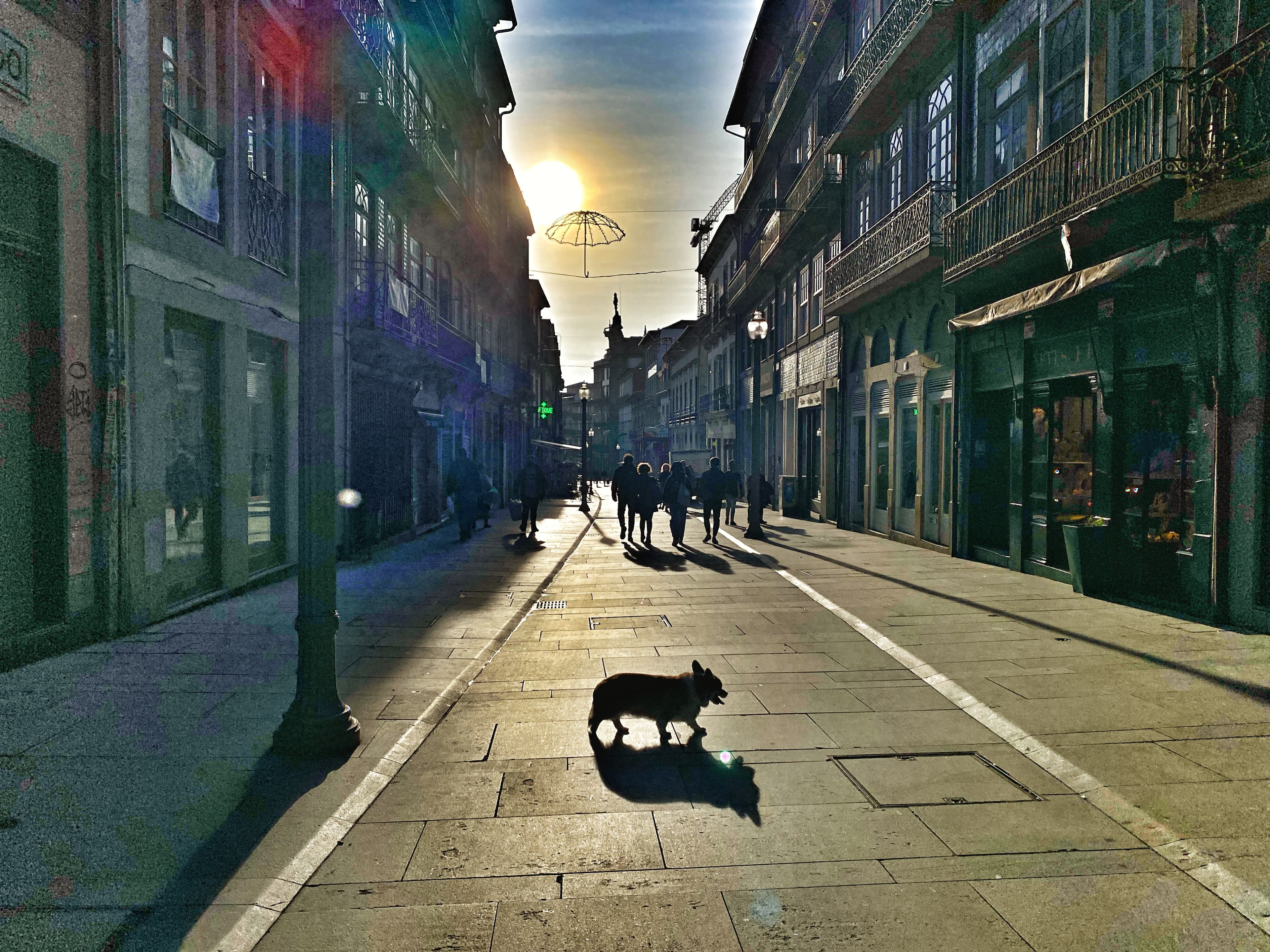 Featured - Flores, Porto